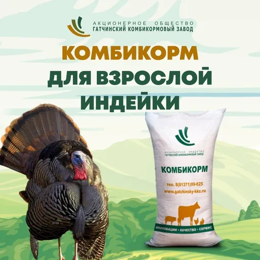 Комбикорм ПК10 для взрослых индеек (Гатчина), 40 кг