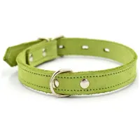 Ошейник 1111С Color Line, однослойный, нубук/фетр, салатовый, 12 мм, длина 21-29 см РАСПРОДАЖА