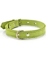 Ошейник 1120С Color Line, двухслойный, нубук, салатовый, 10 мм, длина 19-25 см РАСПРОДАЖА