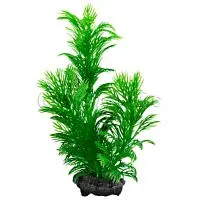 Растение аквариумное Green Cabomba-1 (S), с утяжелителем, 15 см