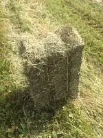 Сено в кипах