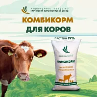 Комбикорм КК60 19% для дойных коров и нетелей (Гатчина), 40 кг