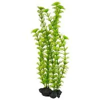 Растение аквариумное Ambulia-3 (L), с утяжелителем, 30 см