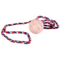 Игрушка для собак Мяч на верёвке 100 см, каучук, диаметр 5 см