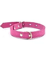 Ошейник 1124Р Color Line, двухслойный, нубук, розовый, 25 мм, длина 35-45 см РАСПРОДАЖА