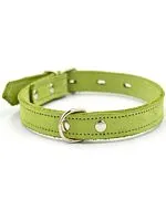 Ошейник 1124С Color Line, двухслойный, нубук, салатовый, 25 мм, длина 35-45 см РАСПРОДАЖА