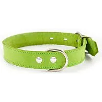 Ошейник 1121С Color Line, двухслойный, нубук, салатовый, 12 мм, длина 21-29 см РАСПРОДАЖА