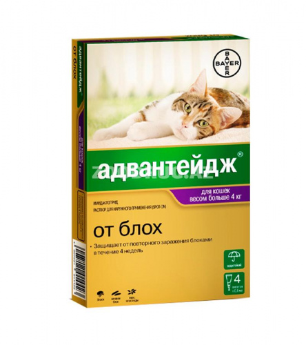 Капли Адвантейдж 80K от блох, для кошек свыше 4 кг, 1 пипетка