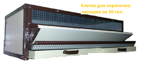 Клетка для перепелов несушек КПН-50 КМ на 50 голов фото 2 Клетка для перепелов несушек КПН-50 КМ на 50 голов фото 2